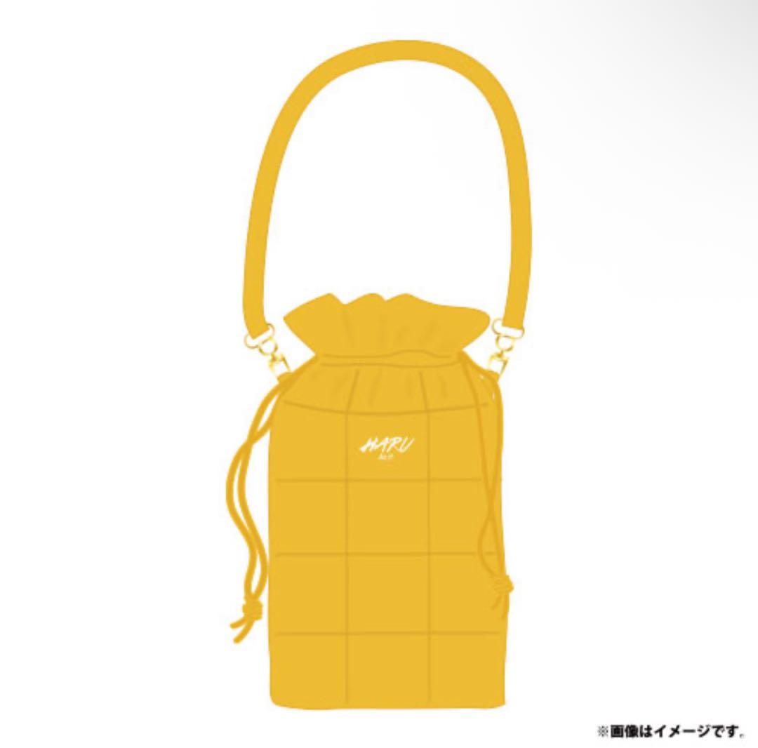 超特急EVEペンライトポーチハル - メルカリ