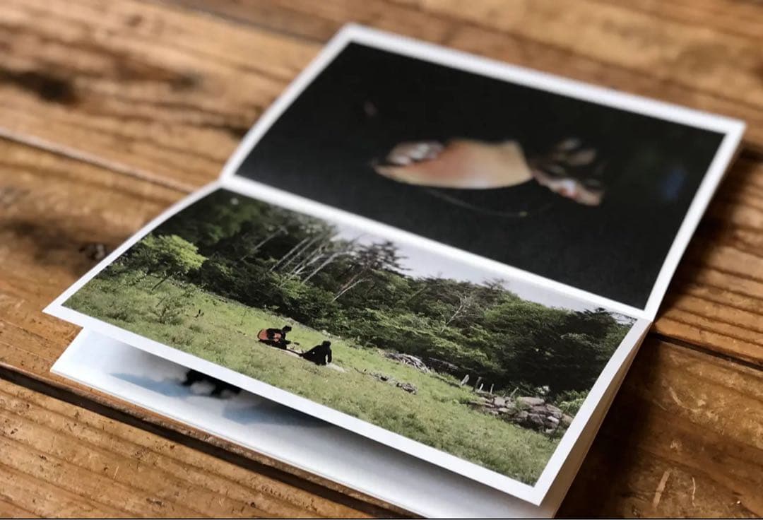 最安値】未草 アルバム haruka nakamura feat. LUCA - メルカリ