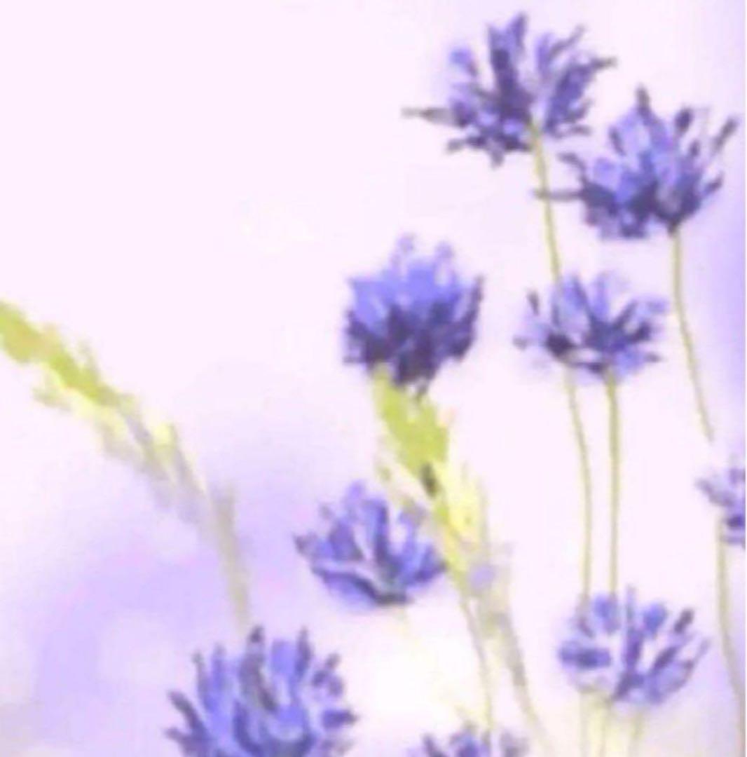 ｍｉｅ3199 S コラゲリード Collage_Lead_SP.png?fmt=png-alpha