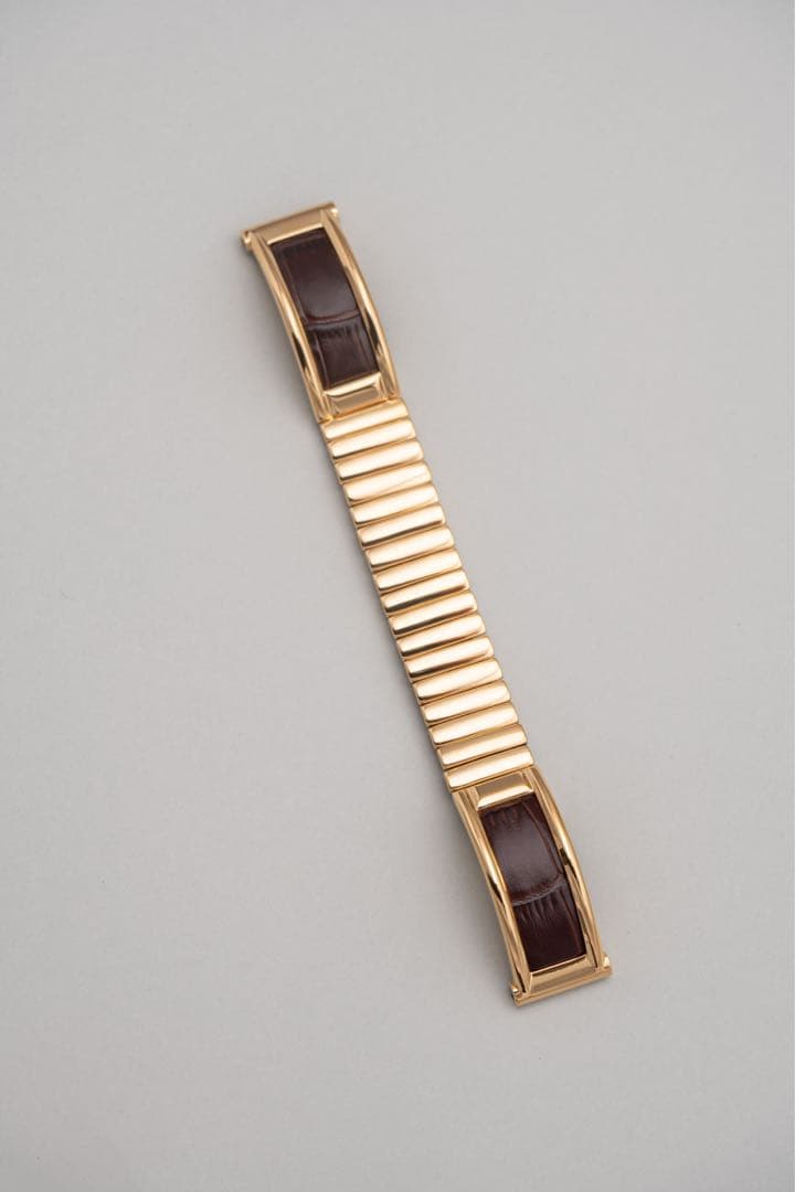 新品 ハミルトン メテオ ベンチュラ staysick ステイシック 限定