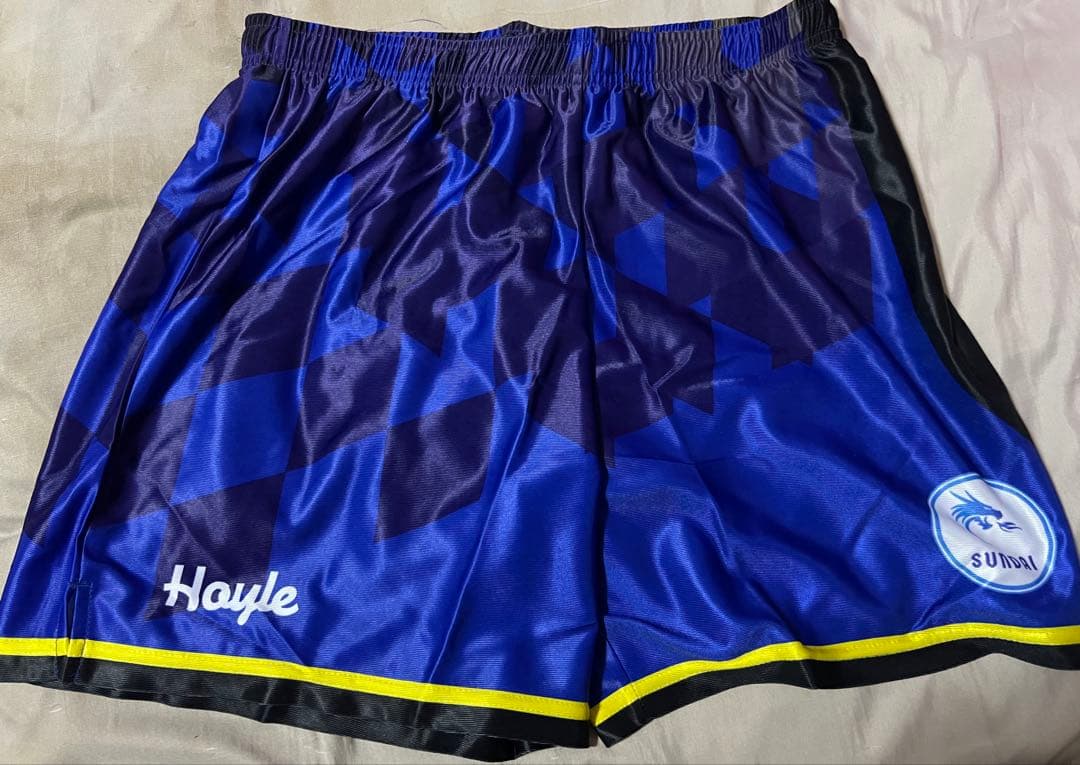 【新品】駿台学園　ゲームパンツ　バレーボール　サイズXL サイズＯ MIZUNO（ミズノ） レディースゲームパンツ（股下L寸：11cm） ポケット