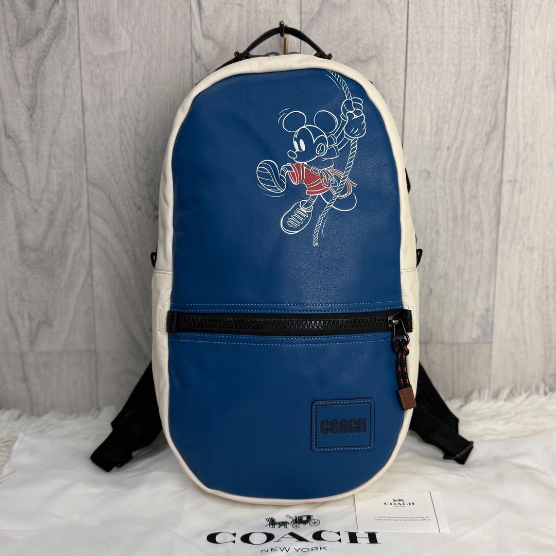 新品♡保存袋付♡COACH コーチ ディズニー コラボ ロゴ レザー