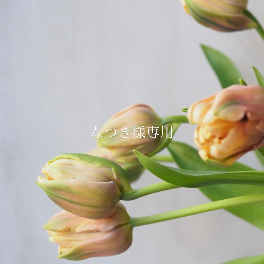 なつき Kawasaki Z650 2017-2024 Complete Exhaust 2-1 14″ Round Stainless