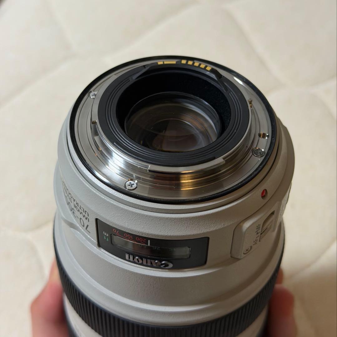 【レッド】Canon EF 70-300mm f/4-5.6 Lレンズ