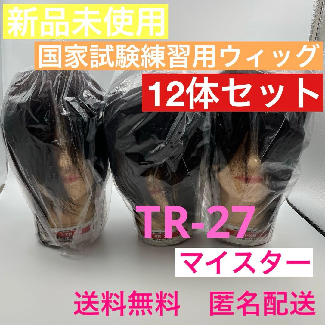 カットウィッグ 美容師 マイスター 国家試験 練習用 - メルカリ