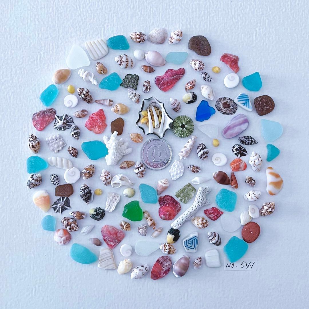 貝殻 シーグラス 】海の素材MIX（No.541） - メルカリ