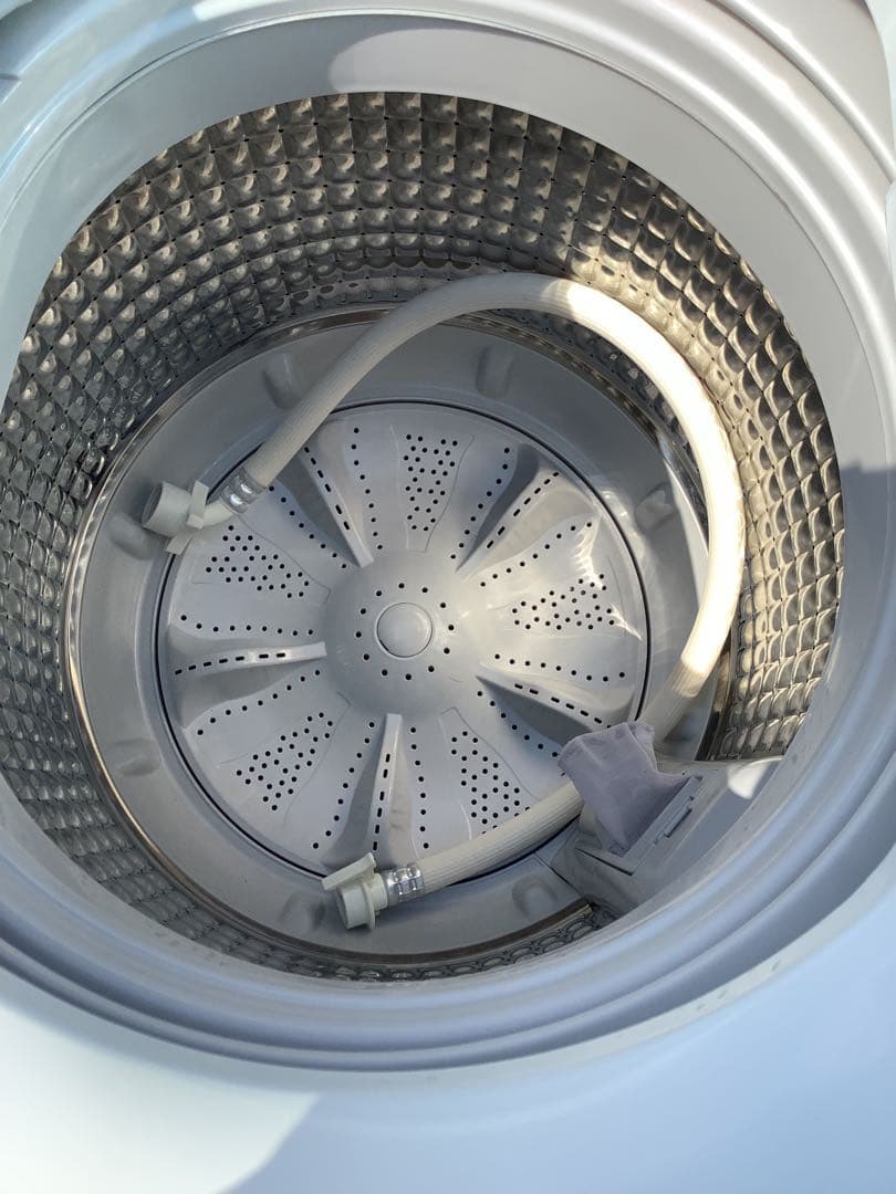 猫猫ネコネコ 洗濯機 ハイアール JW-CD55A 5.5kg 19年製