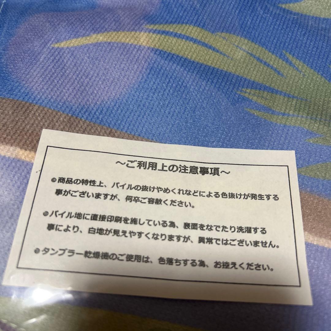 アズールレーン 信濃 タオルケット 雅夢の白浜