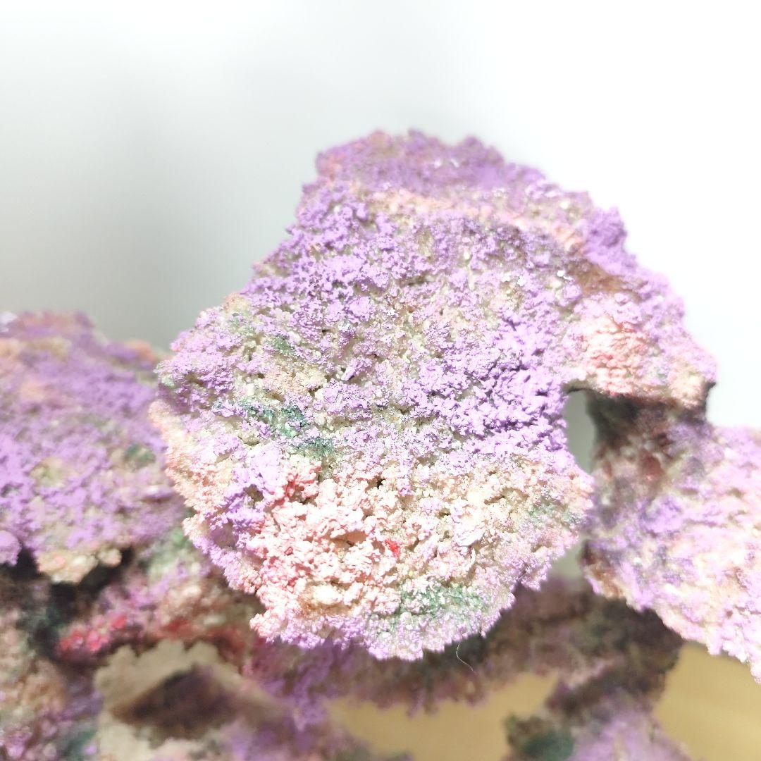 ❖新品アク抜き不要 人工ライブロック 60cm海水水槽用 レプリカ 多孔質