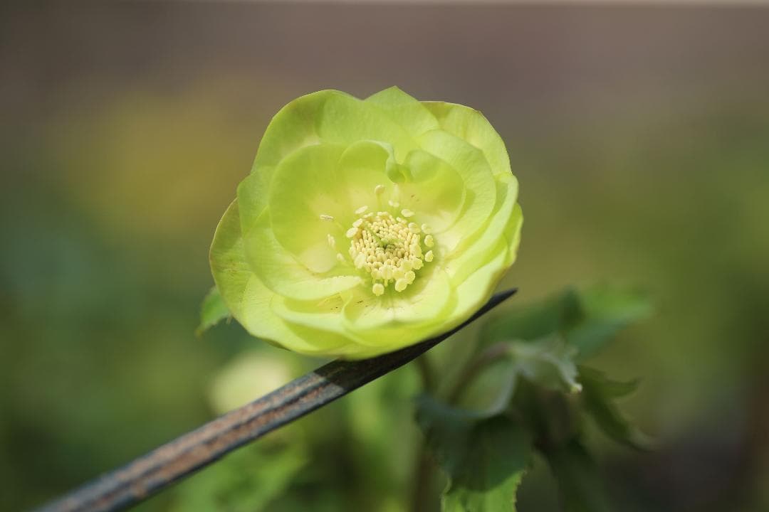 トックン様 リクエスト 3点 まとめ商品 stk様 リクエスト 3点 まとめ商品 stk様 リクエスト 3点 まとめ商品 ZX様