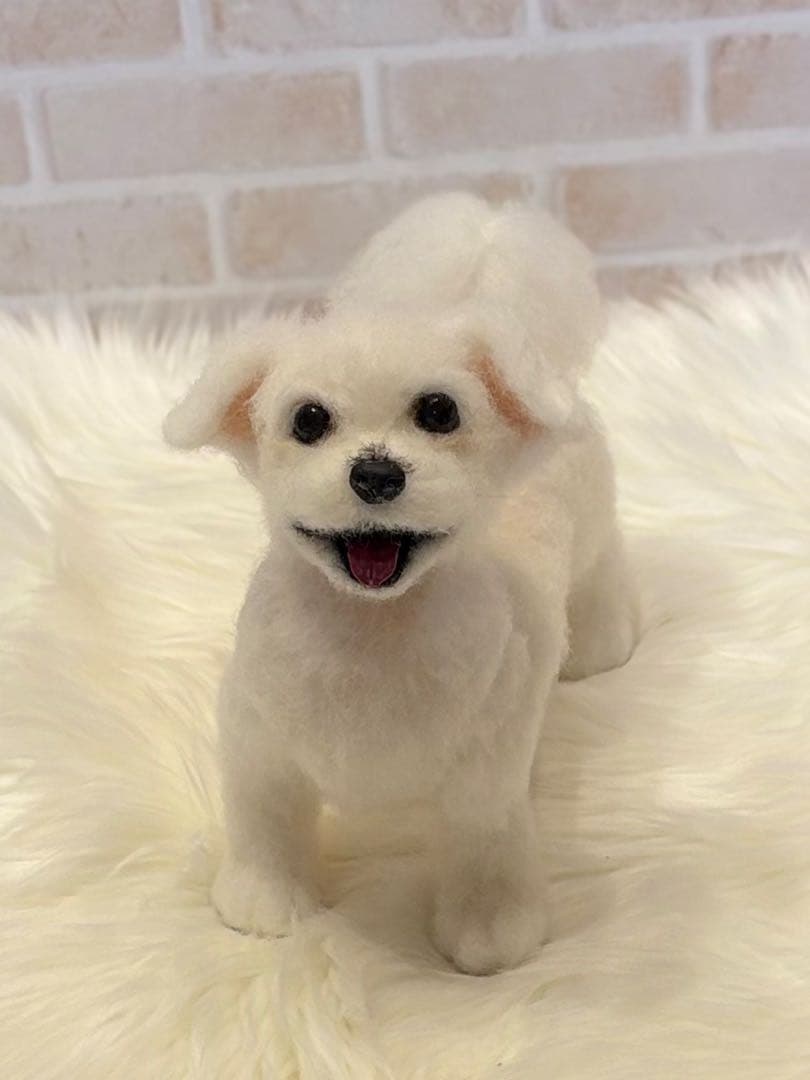 ジ*原様 羊毛フェルト　マルチーズ　momoichigo ジ*原様 羊毛フェルト マルチーズ momoichigo - メルカリ