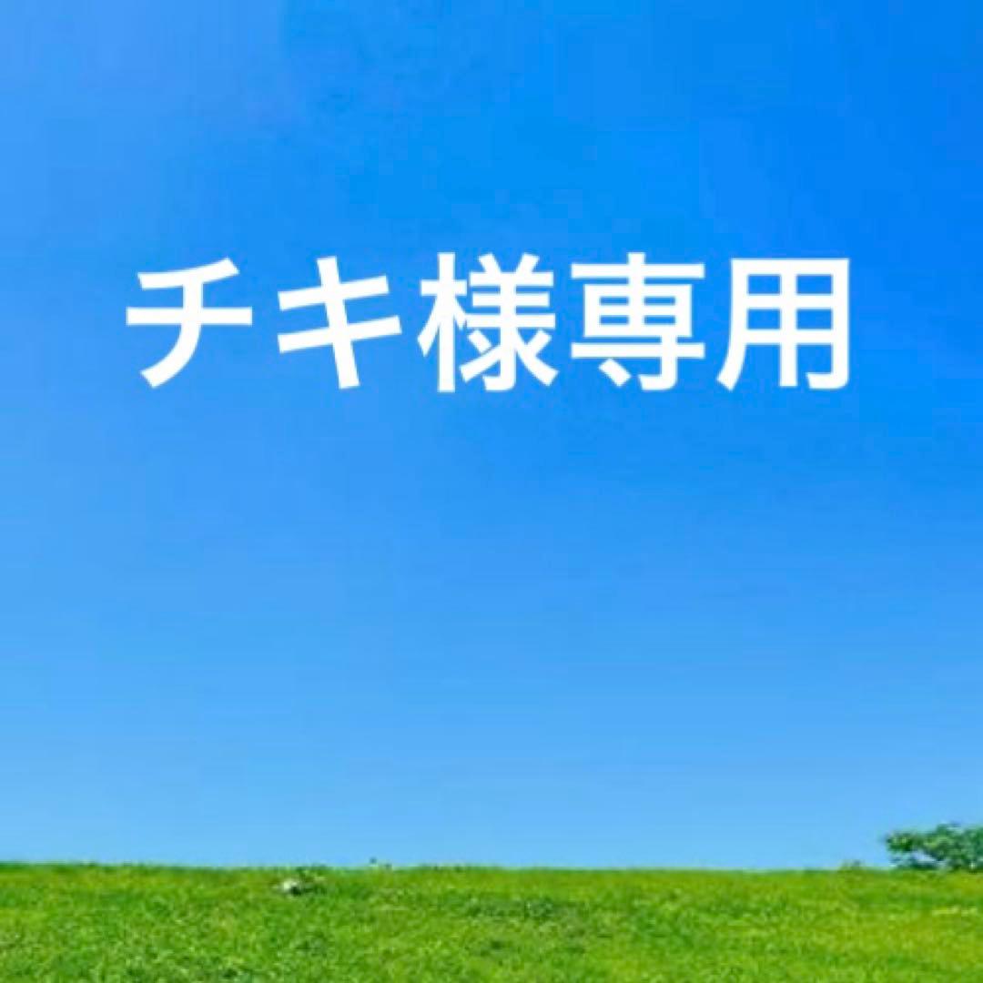 未使用SalvatoreFerragamoレザーラウンドジップ長財布　ガンチーニ FERRAGAMO（フェラガモ） 財布 長財布 ガンチーニ レディース ラウンド