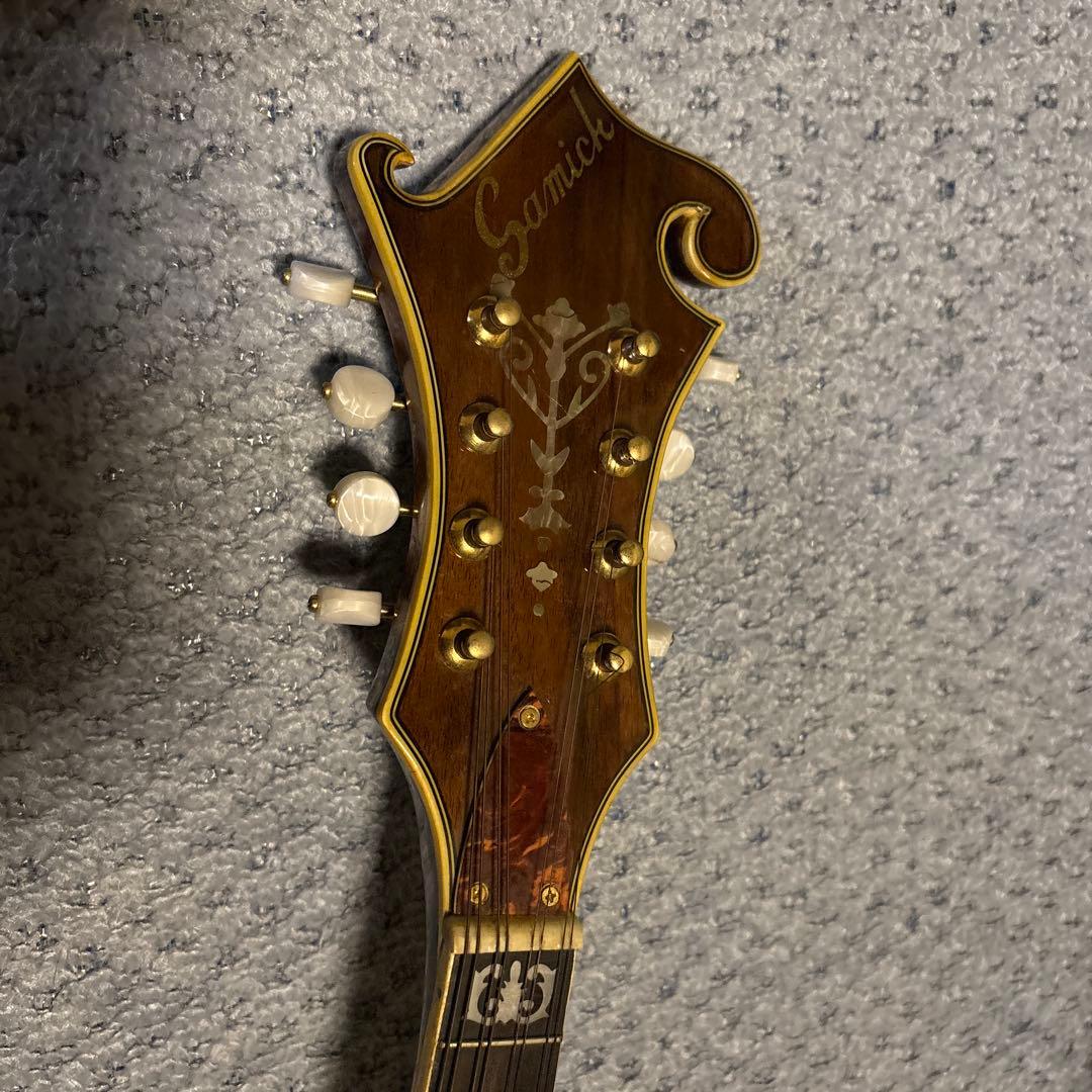 Samick Fタイプ フラットマンドリン ハードケース付き - メルカリ