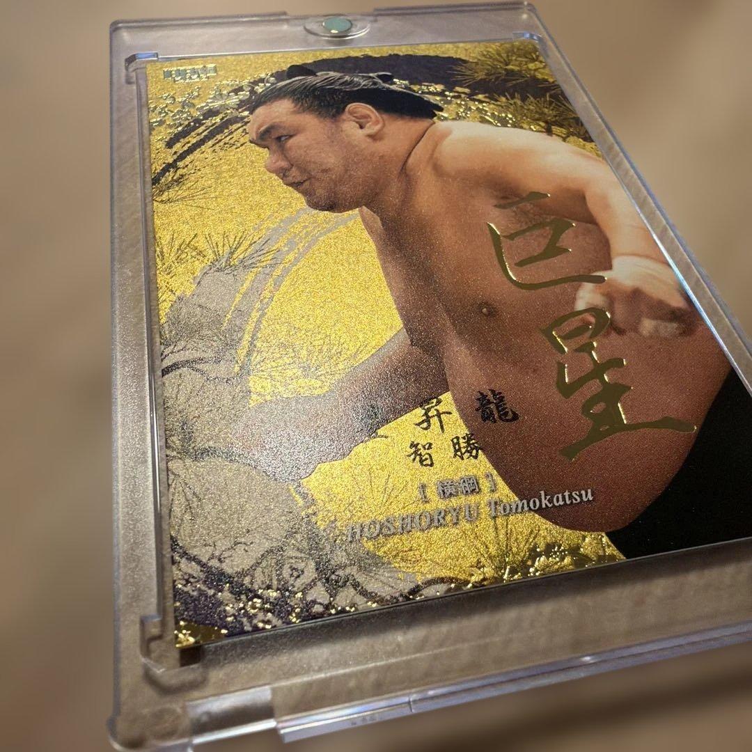 大相撲 BBM 2026 SUMO CARDS インサート 巨星 豊昇龍 智勝
