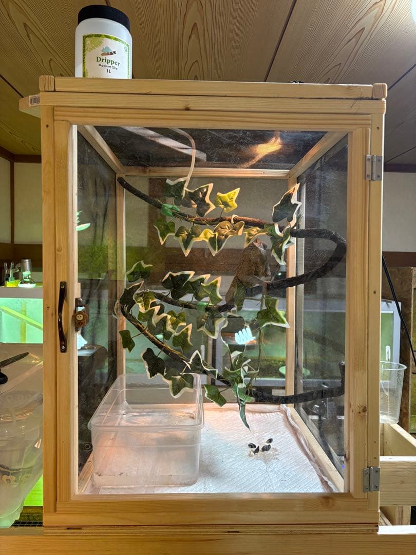 爬虫類ケージ 60×40×40 メッシュ アクリル扉 カメレオン ケージ ペット