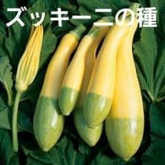 ホリデー様 リクエスト 2点 まとめ商品 - メルカリ