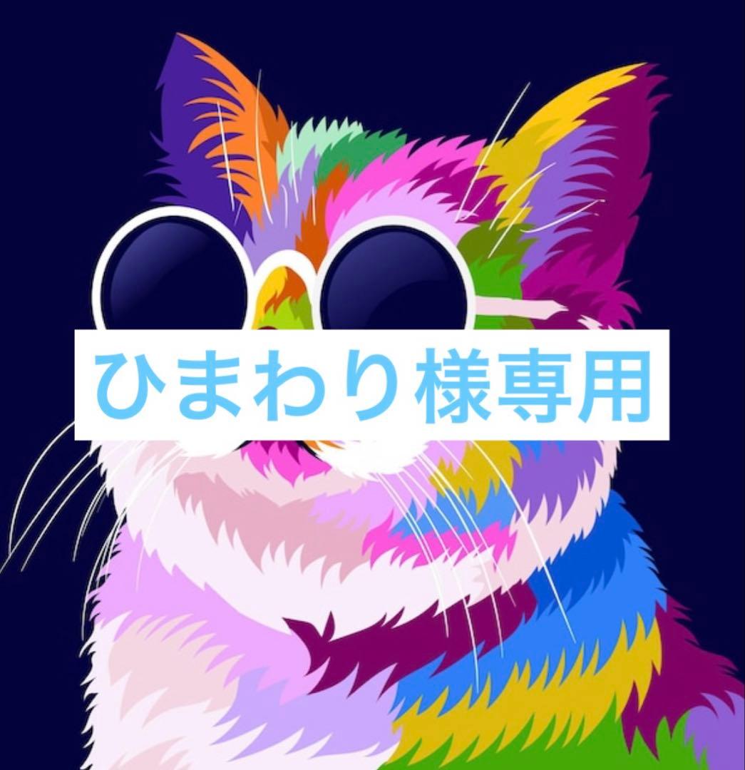 専用リンク　超希少品種ゼラニウム　レア品種ゼラニウム苗　DNY01 ゼラニウム 苗 ミスターレン 3.5号 ゼラニューム 赤 覆輪 赤白 レア