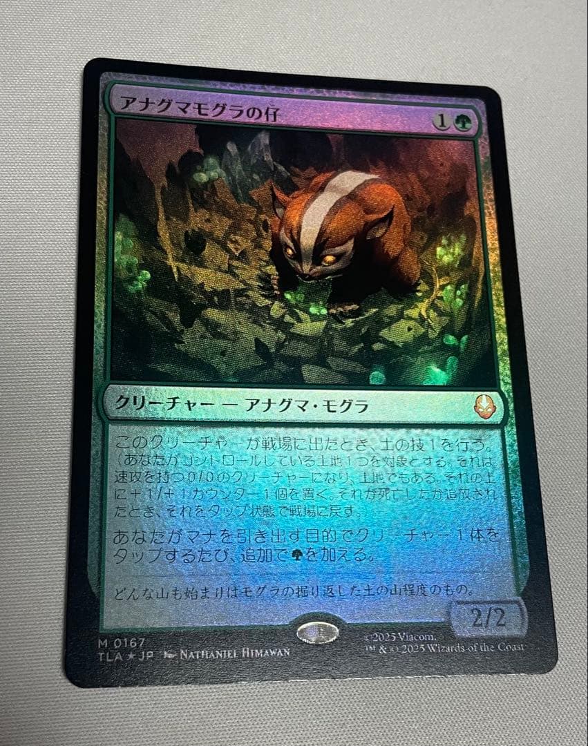 アナグマモグラの仔 日本語通常foil アナグマモグラの仔/Badgermole Cub《日本語》【TLA】