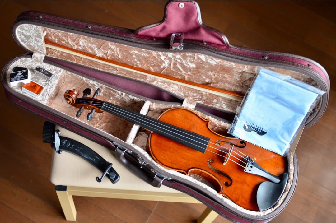 超美品】Gliga CRISTIAN バイオリン 4/4 - メルカリ