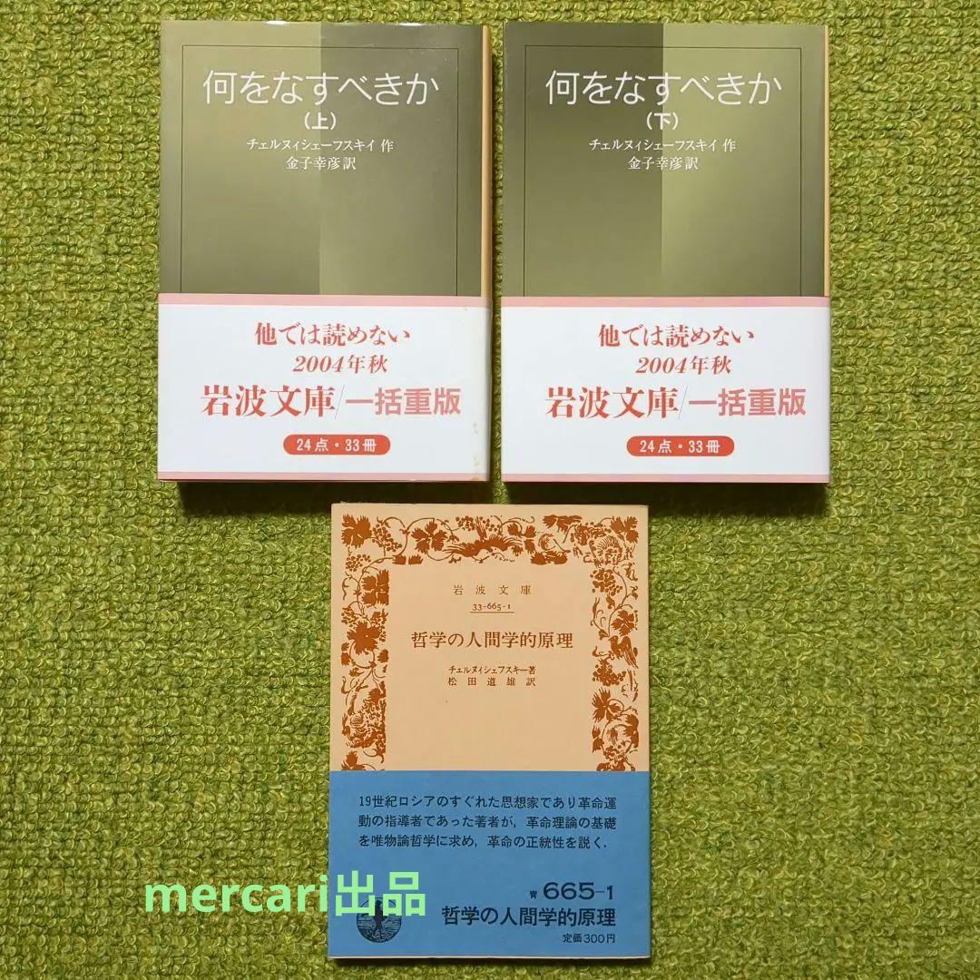 チェルヌイシェーフスキイ 何をなすべきか 哲学の人間学的原理 岩波