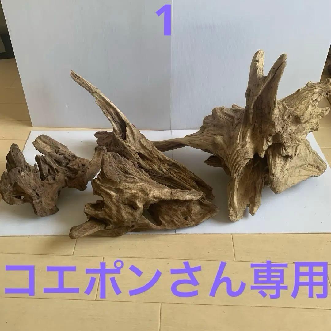 流木 Ninja ZX-25R / ZX-4R SC-Project サイレンサー新登場！ – iMotorcycle