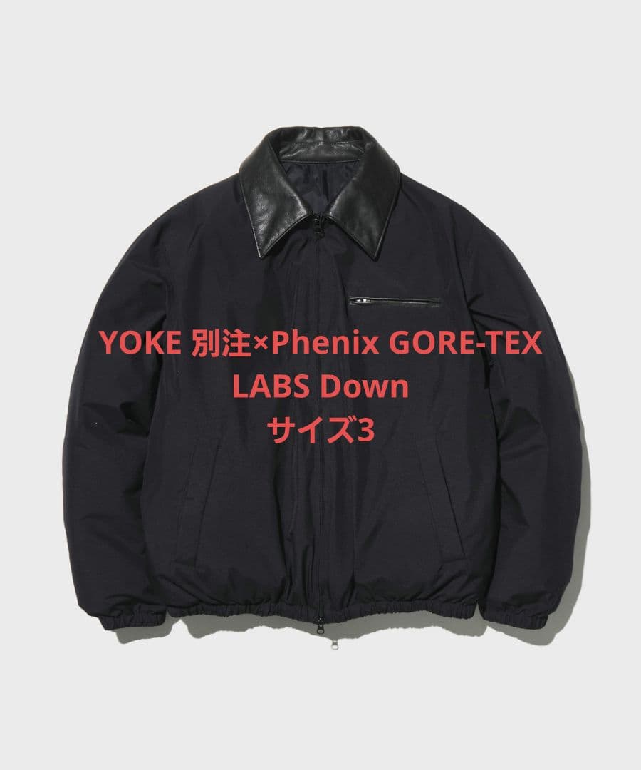 YOKE 別注×Phenix GORE-TEX LABS Down サイズ3 - メルカリ