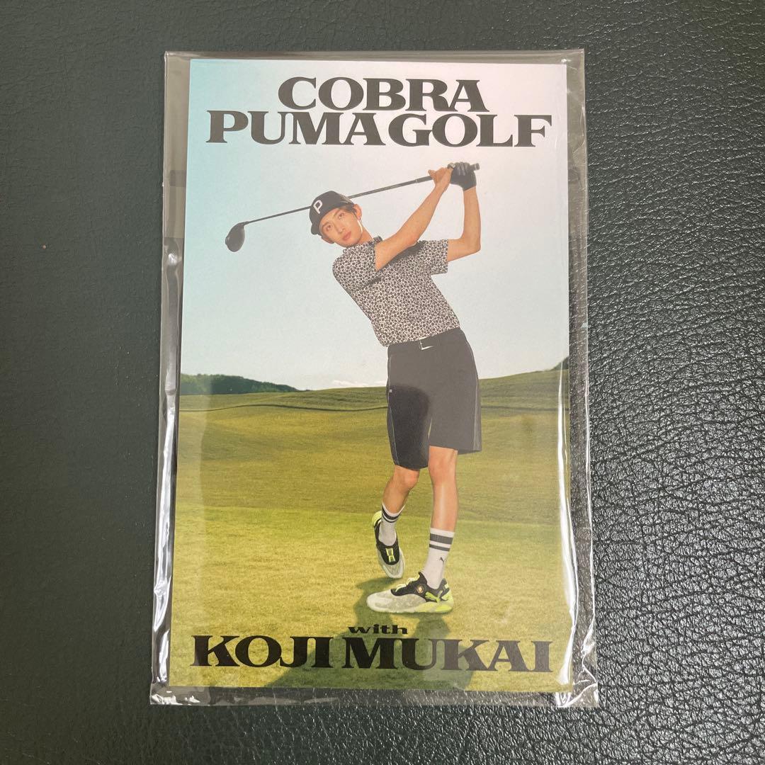SnowMan 向井康二 Cobra Puma Golfコラボ ゴルフマーカー - メルカリ
