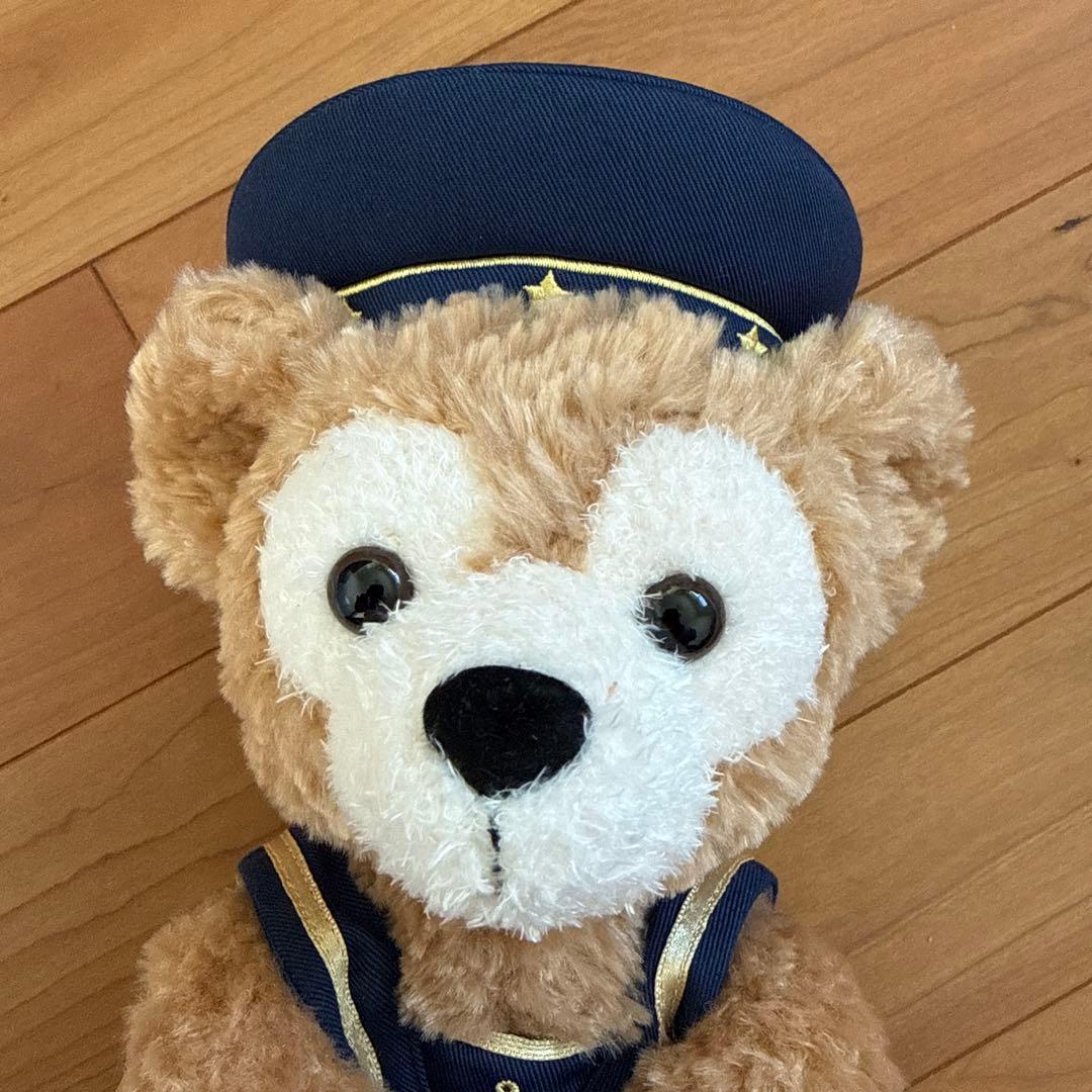 ディズニー 20周年 マイメモリーズウィズダッフィー トランク