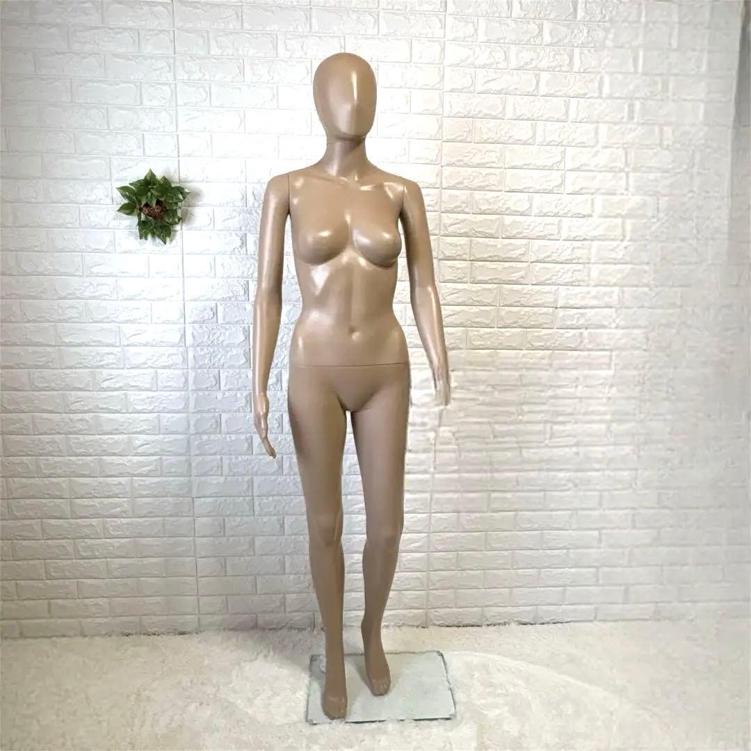 マネキンリアル全身　マネキン 女性 9号相当 肌色 台座付き Amazon.co.jp: [ダイセイ]マネキン 全身マネキン レディース 176