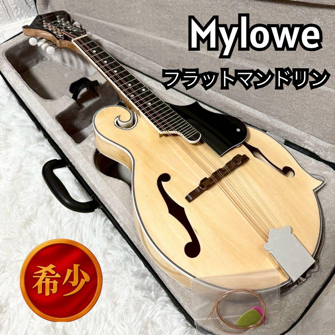 希少美品』Mylowe フラットマンドリン ハードケース付き - メルカリ