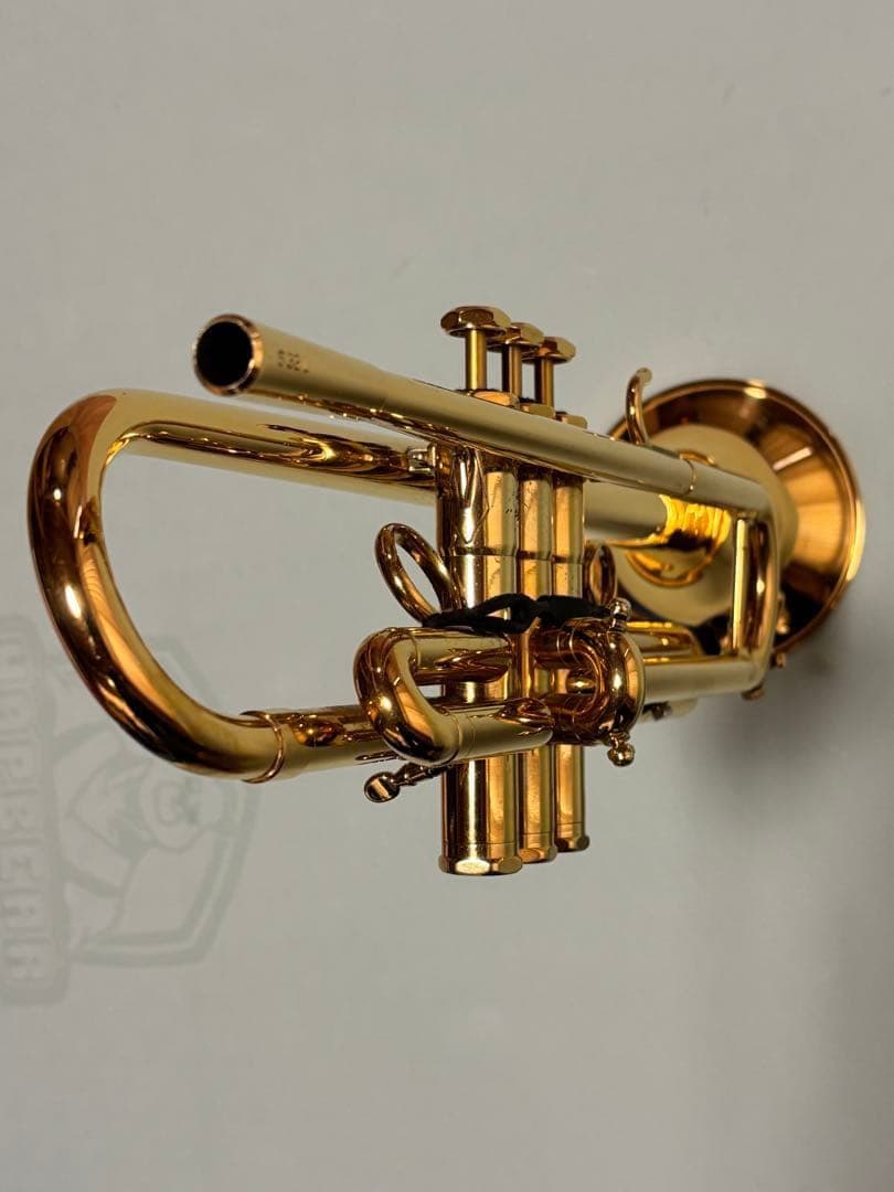 むらっぱ様専用】Schilke B♭ トランペットS 32 L GP - メルカリ