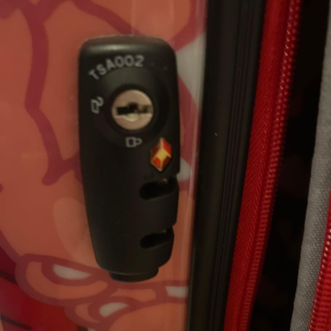 土日限定【激カワ】CASTELBAJAC クマデザイン キャリーケース 中型