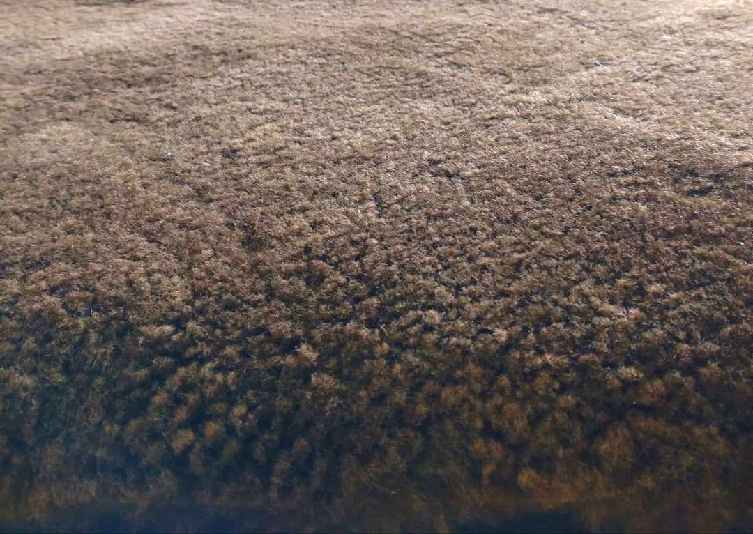 決済棚卸しセール『特選PREMIUMモデル』超高密度　極上クリンプムートン35㍉