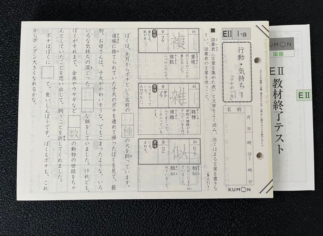 公文　国語EⅡ 1〜200 テスト　セット くもん 国語 EⅡ 1-200 書込、採点あり - メルカリ