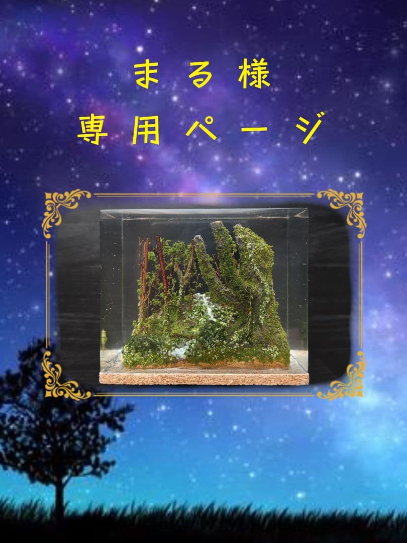 od19　静寂の森 af90cf30dac285e1cbc2153b8723b1