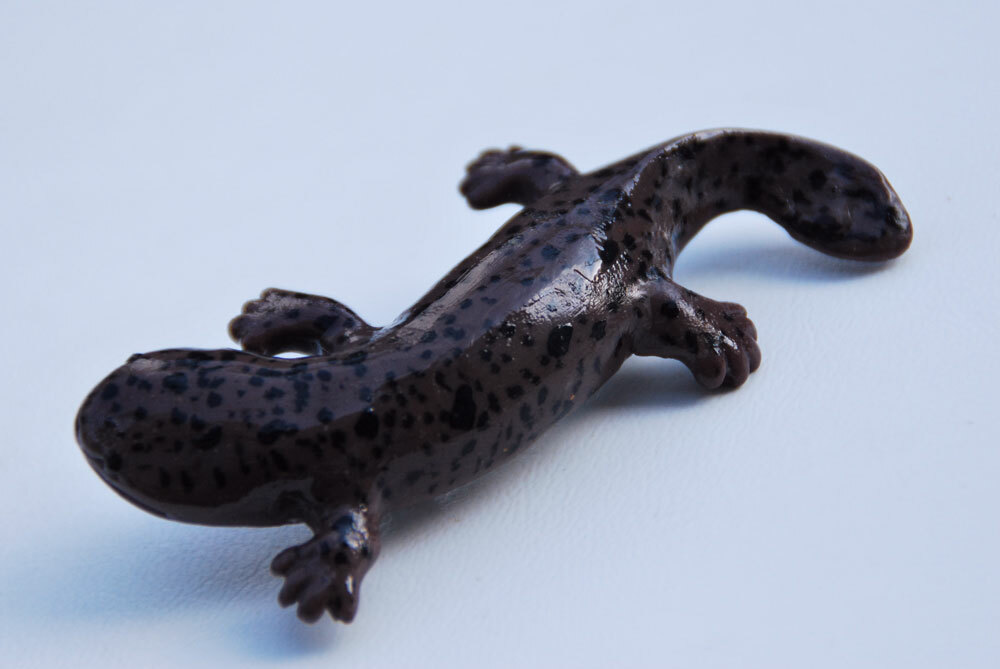 オオサンショウウオブローチ 再販 - あわてんぼ gallery | minne byGMO