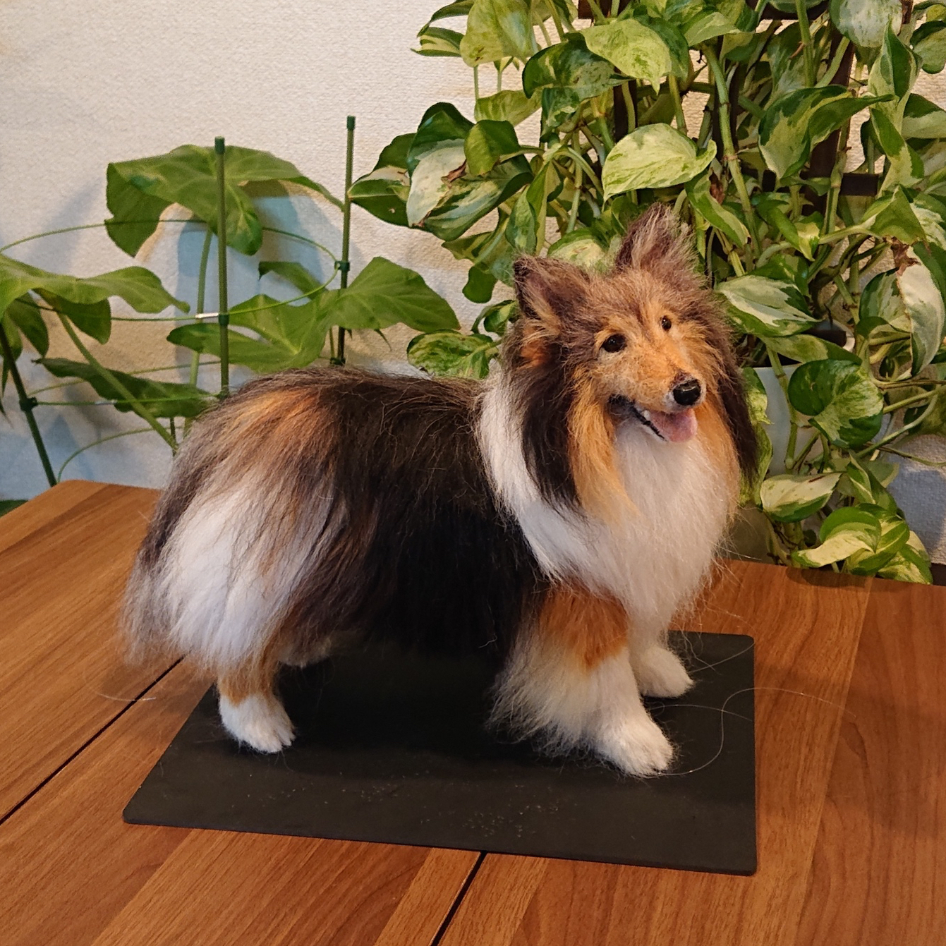 オーダー】羊毛フェルト犬猫 20～30cm シェルティ プードル