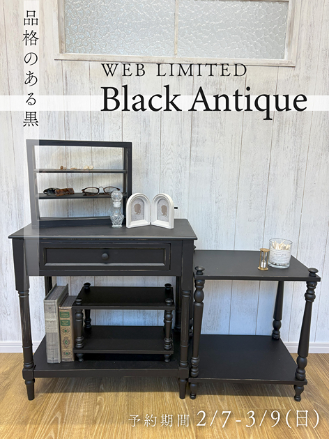 Salut! サリュ アンティーク ガラスキャビネット ブラック 黒 ゴシック