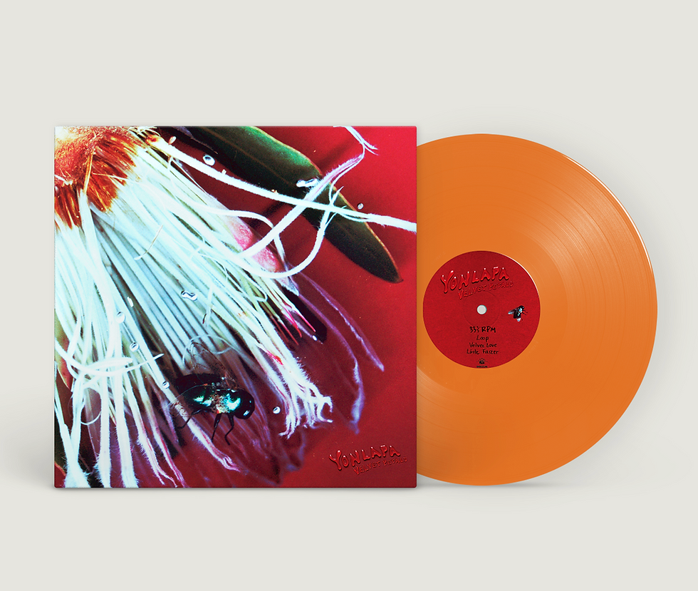 Summer Eye /「大吉」(TAPE) | bigromanticrecords