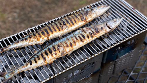 RODAN S-PiKE | サンゾー工務店