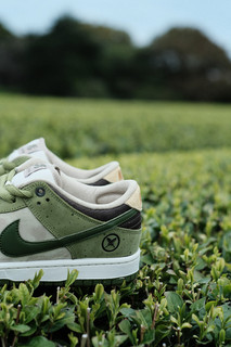 NIKE SB DUNK LOW PRO QS 