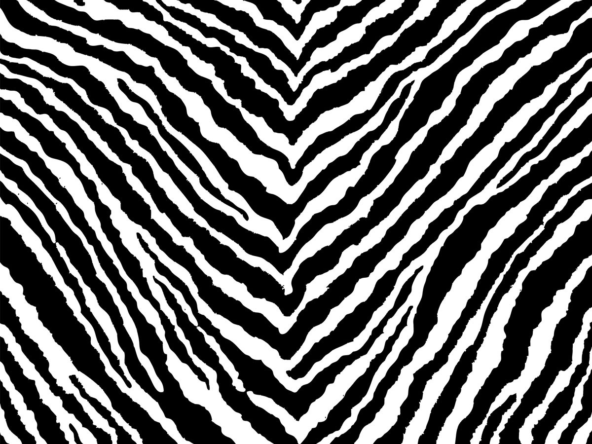 Artek Zebra Seat Cushion / アルテック ゼブラ シートクッション