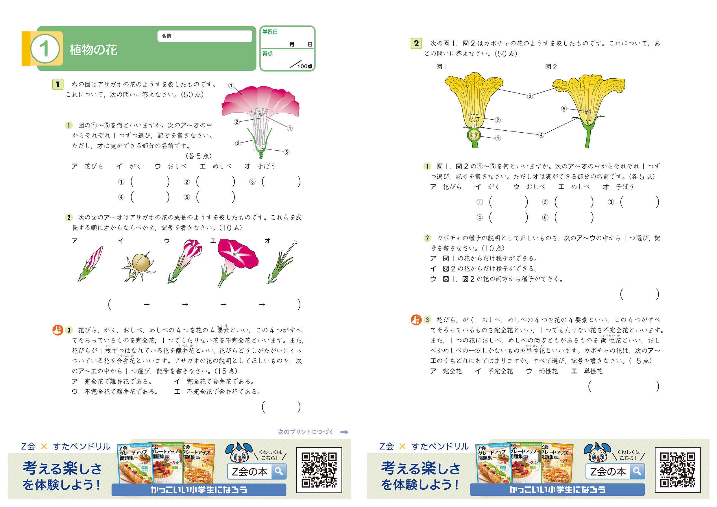 小5理科「Z会グレードアップ問題集」無料お試しプリント