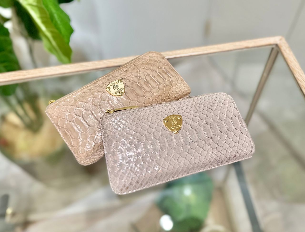 2025年春財布にオススメ！パイソン財布特集 | ATAO(アタオ) | ATAO