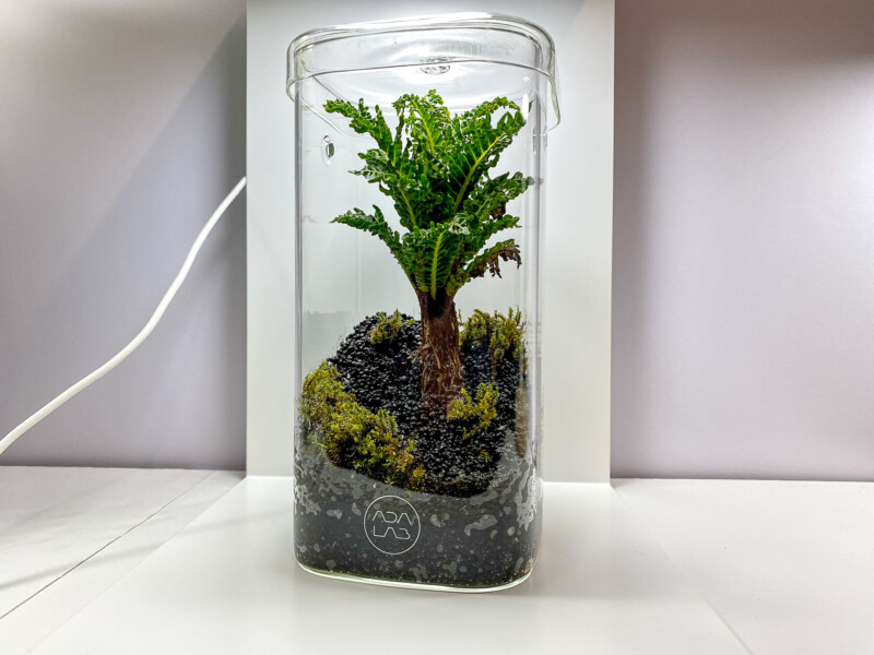 ADA LAB ガラスポットKAKU W10×D10×H20かんたんミニパルダ作り