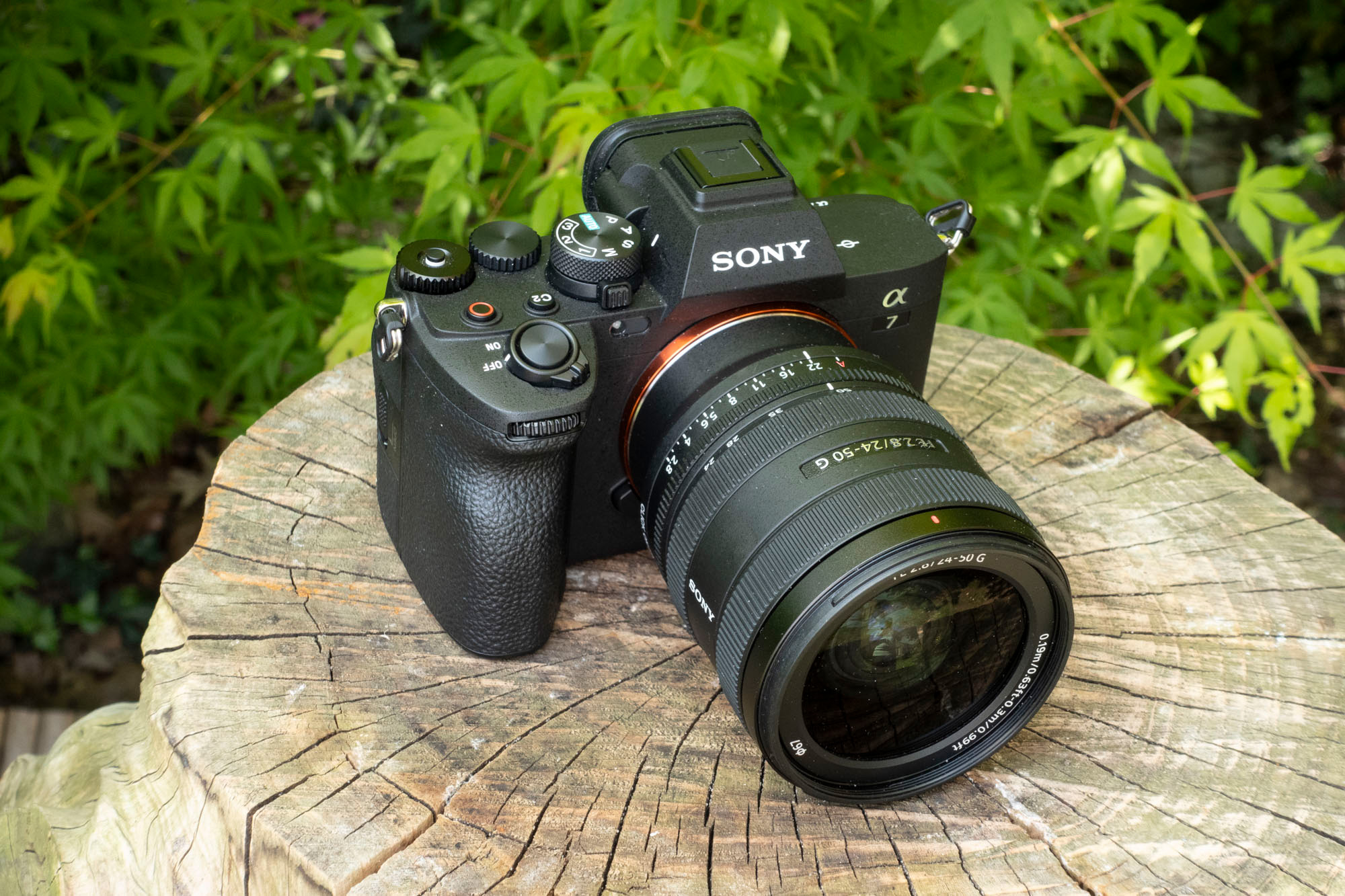 Sony FE 24-50mm F2.8 G review - lightweight travel companion