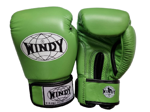 WINDY ウィンディ キック ボクシンググローブ 明るい緑 Light greenの