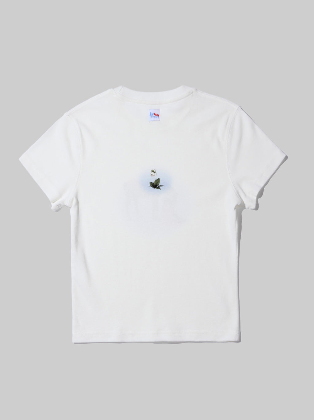 Attends】Symbiosis Tee Shirt – ALLISON BROWN