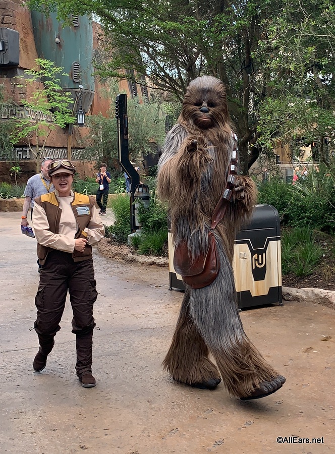 Calling Fashionistas in the Galaxy! Star Wars x Coach Collection