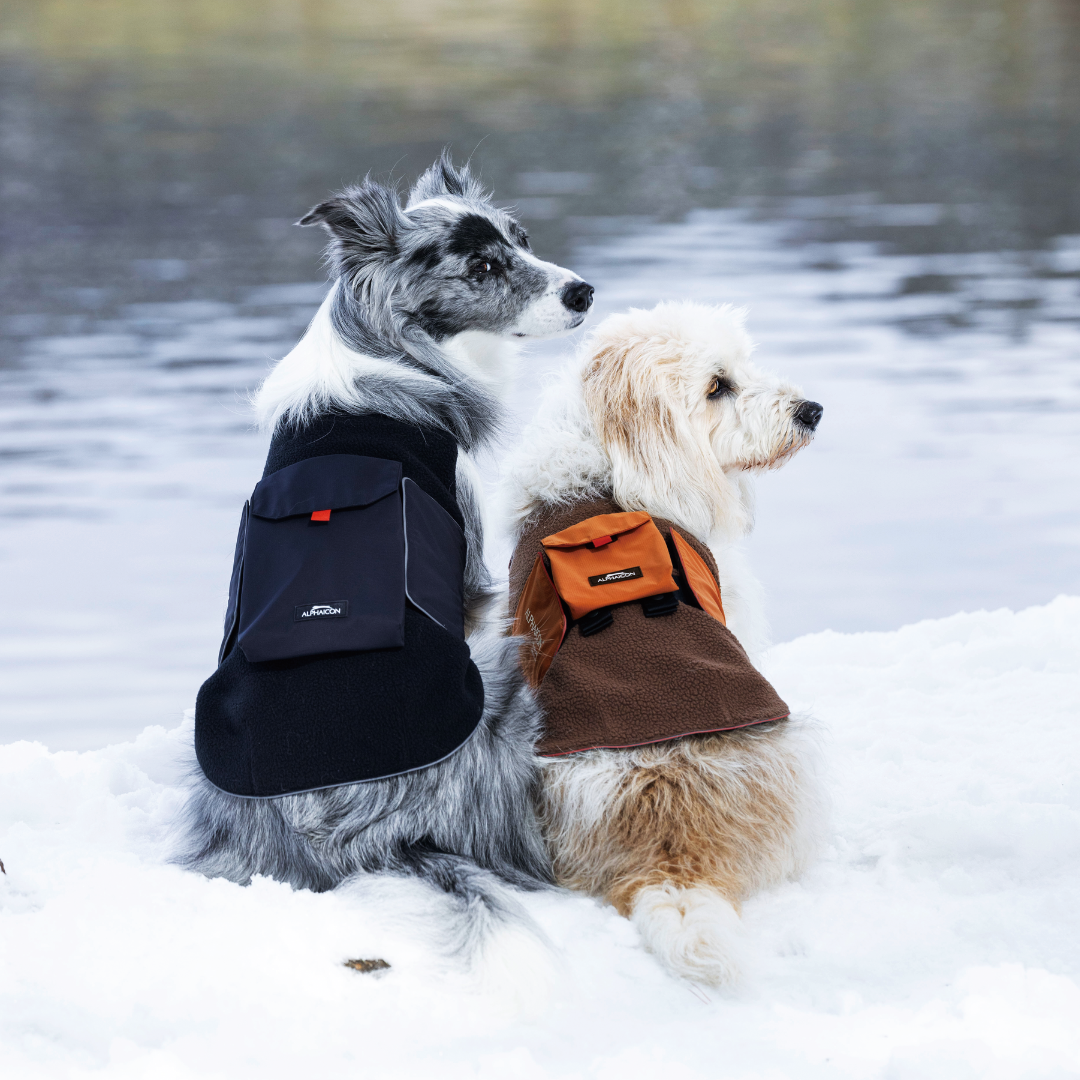 新商品情報】AIR LINER / AIR LINER POCKET 10/10発売